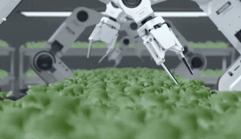 Market Volatility Video.gif