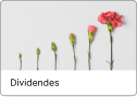 Dividendes.png