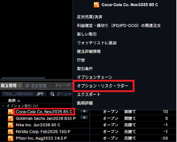 オプションリスクラダー2.PNG